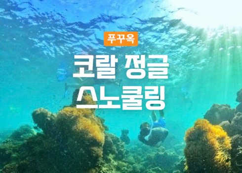 [조인투어] 코랄 정글 스노쿨링 투어